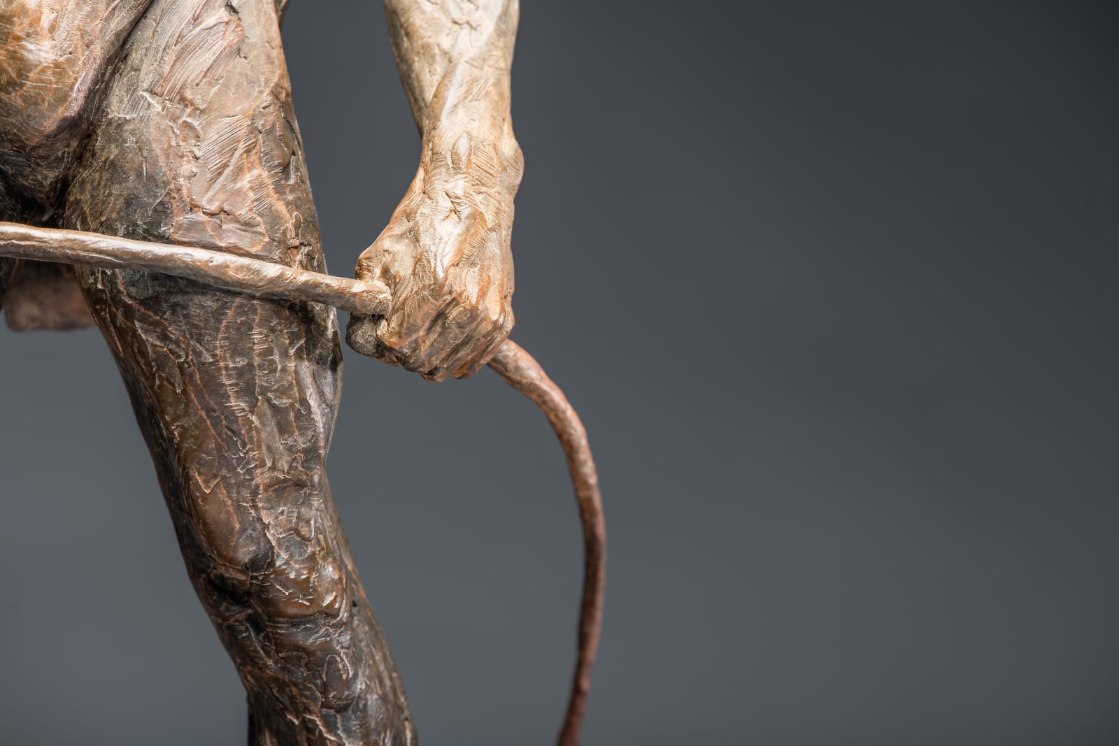 Richard MacDonald, Bullwhip, 2009