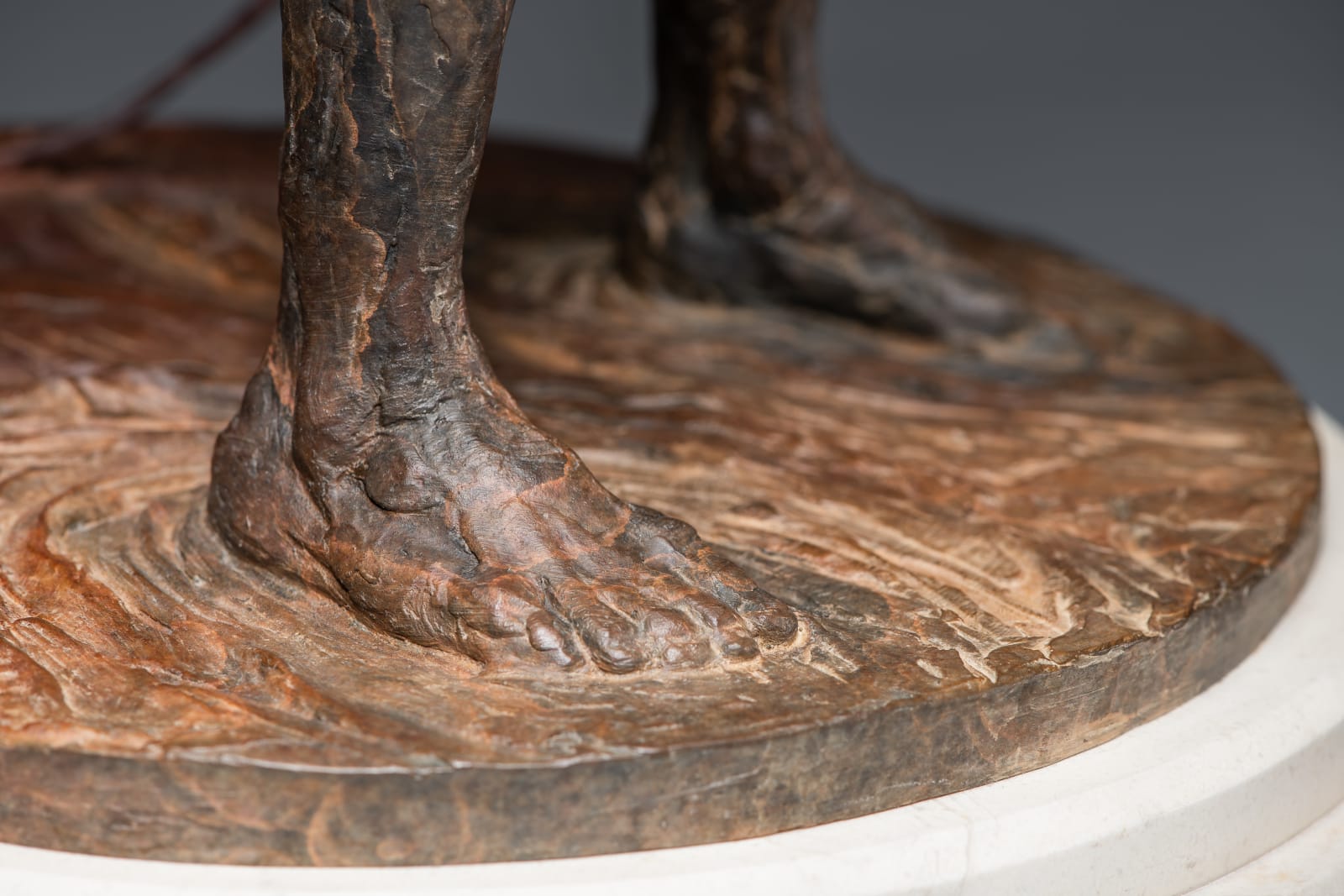 Richard MacDonald, Bullwhip, 2009