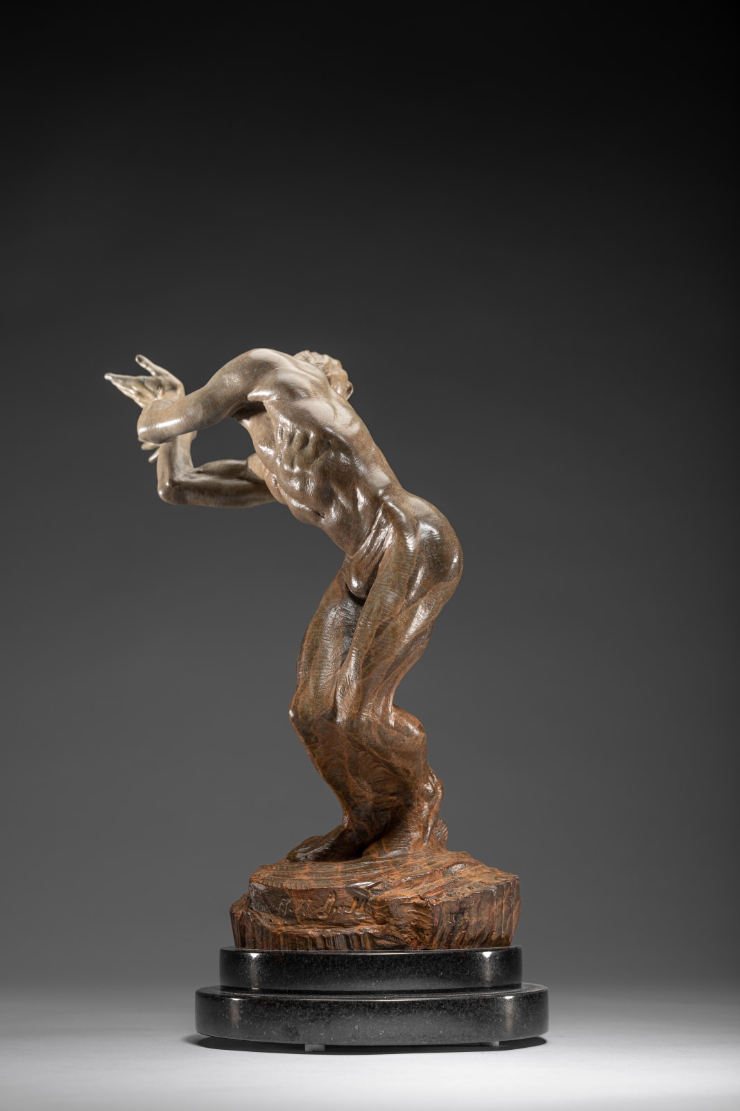 Richard MacDonald, Butterfly, Atelier, 2010