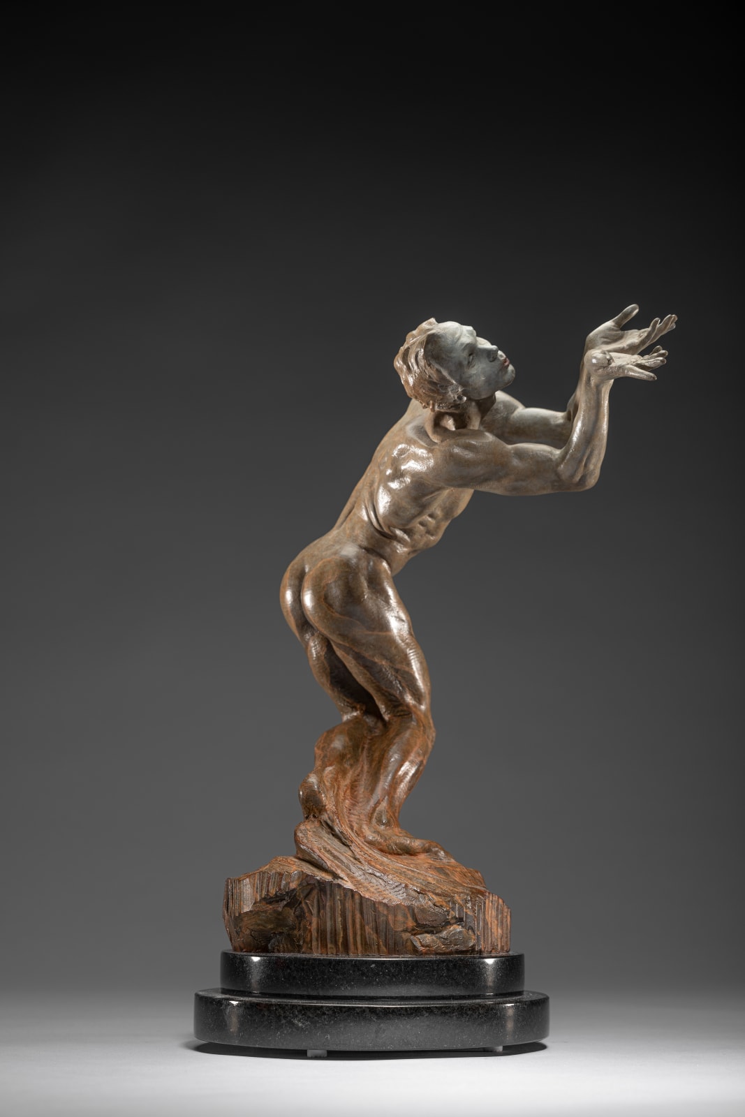 Richard MacDonald, Butterfly, Atelier, 2010
