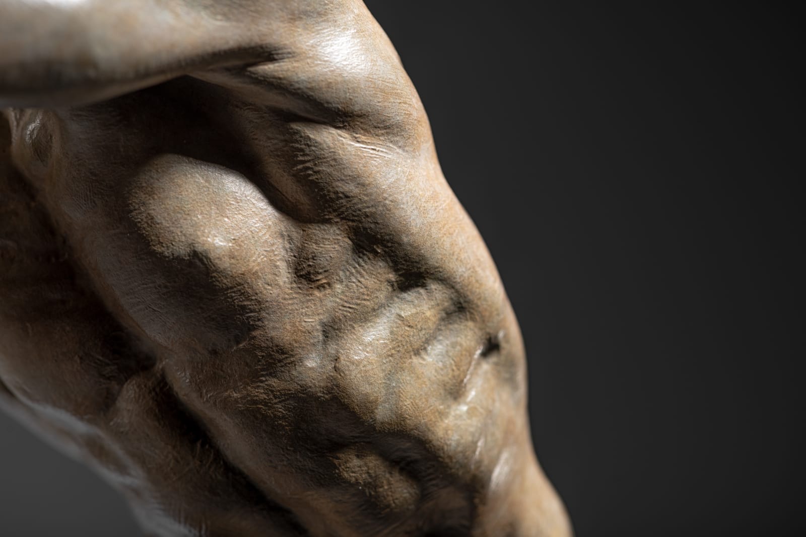 Richard MacDonald, Butterfly, Atelier, 2010