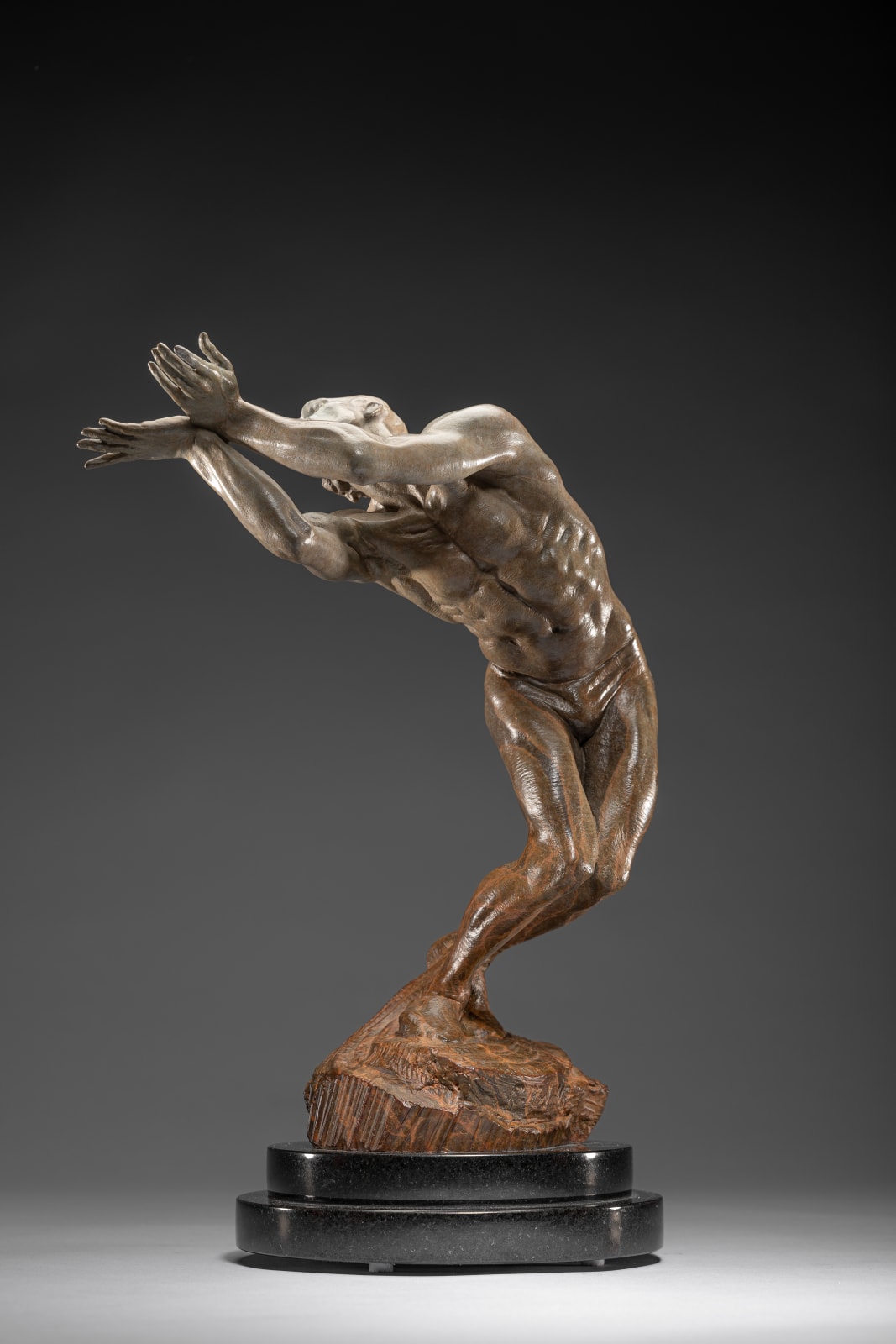 Richard MacDonald, Butterfly, Atelier, 2010