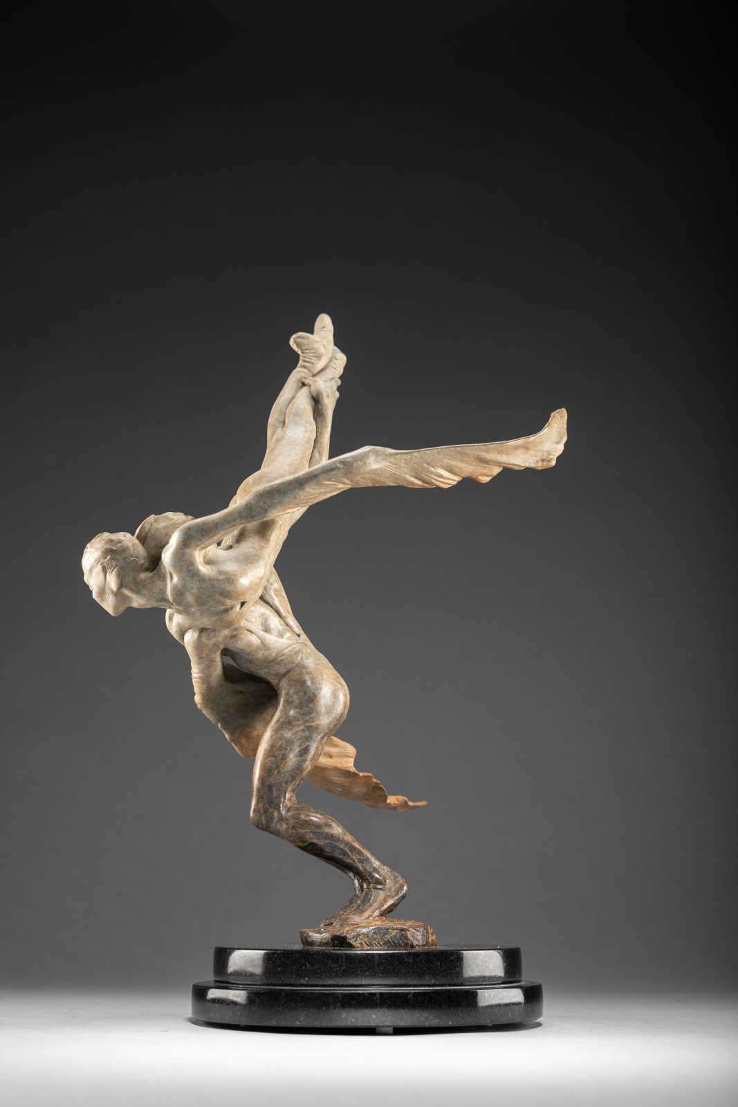 Richard MacDonald, Doves, Atelier, 2013