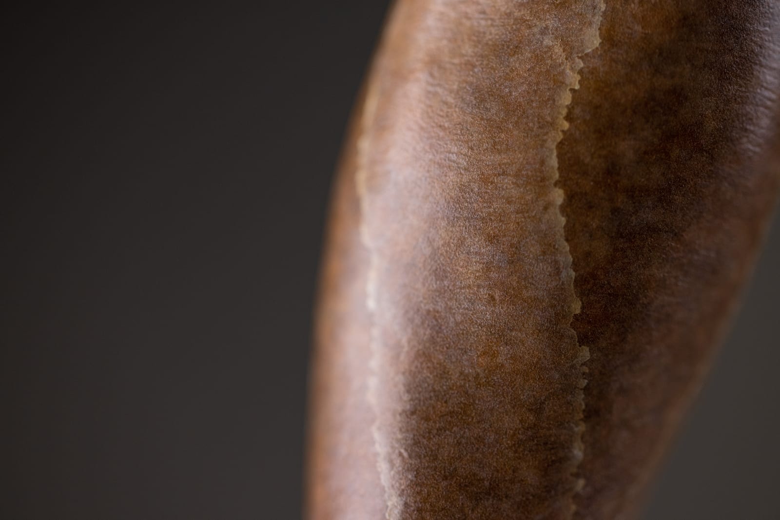 Richard MacDonald, Sissone, Atelier, 2012