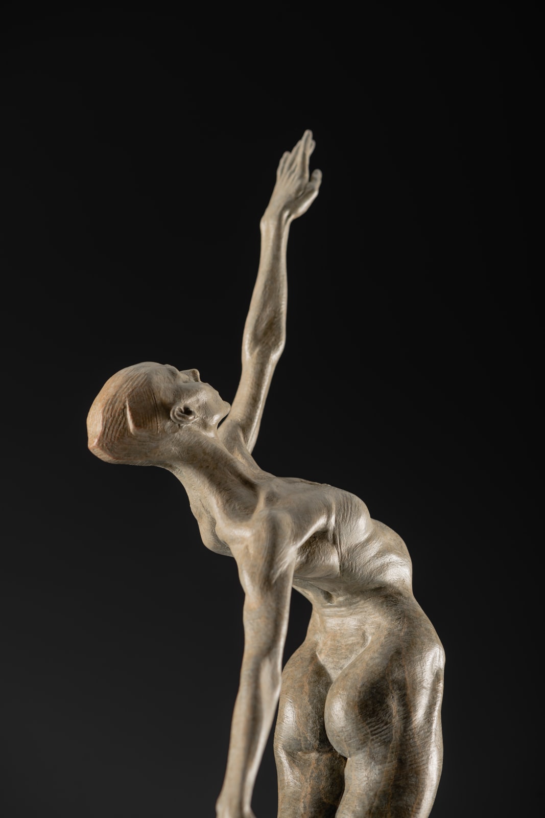 Richard MacDonald, Allonge, Female, Atelier, 2013