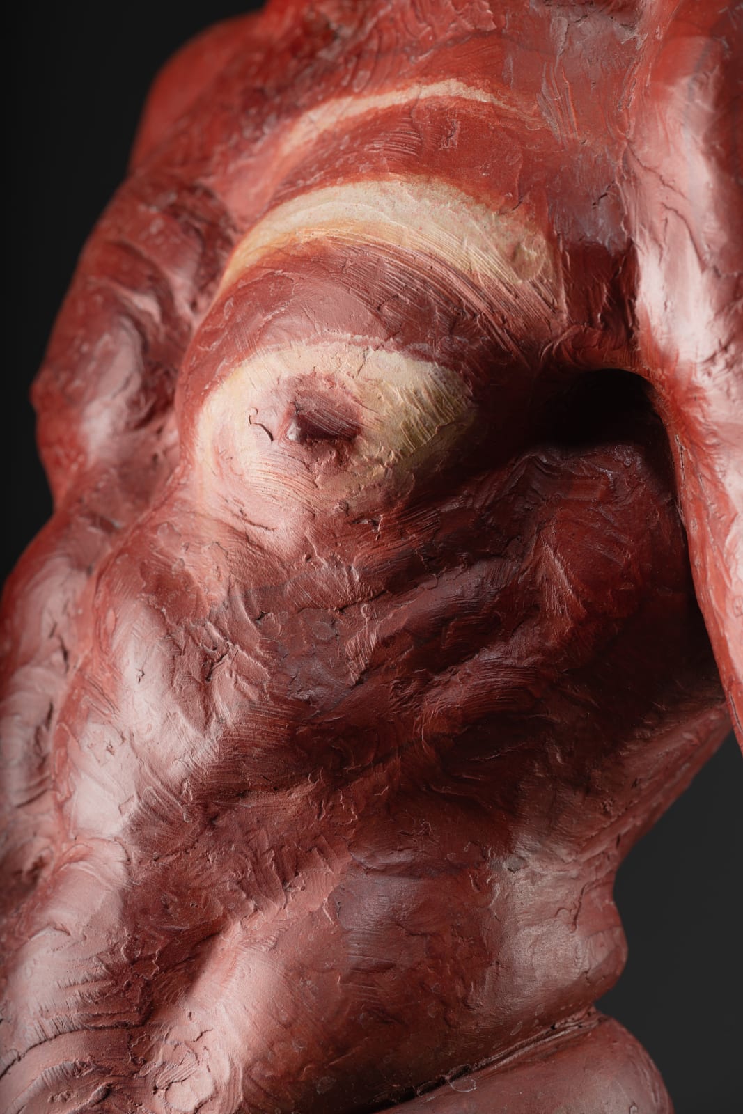 Richard MacDonald, The Guardian, Half Life Red, 2015