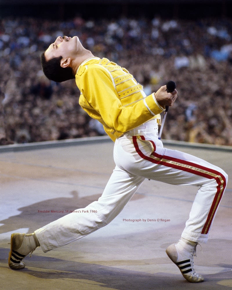 QUEEN, Freddie Mercury St James's Park, 1986