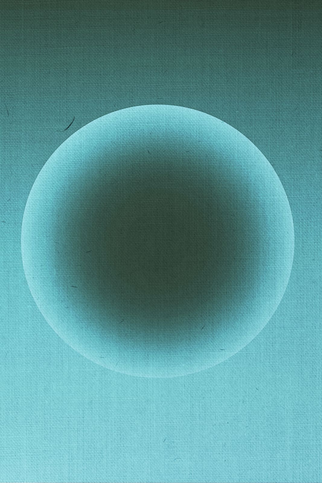 Artist 1 (FP), Artwork 7, 2020