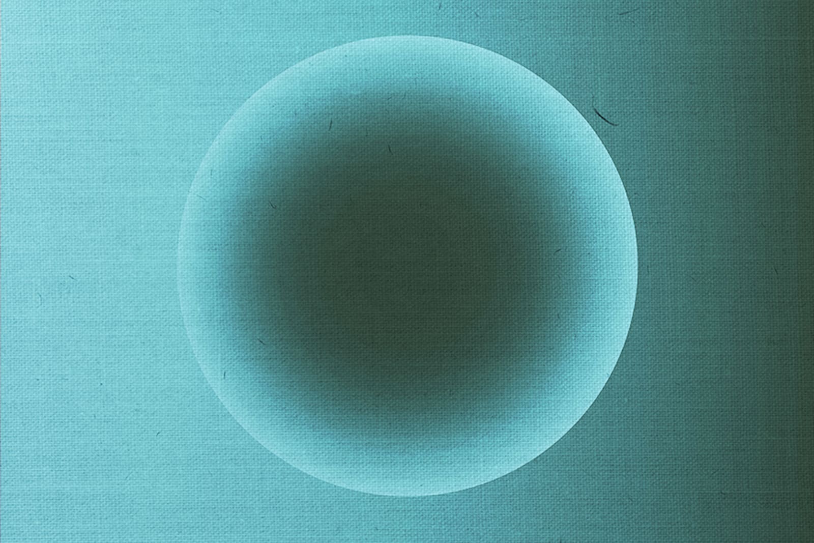 Artist 1 (FP), Artwork 7, 2020
