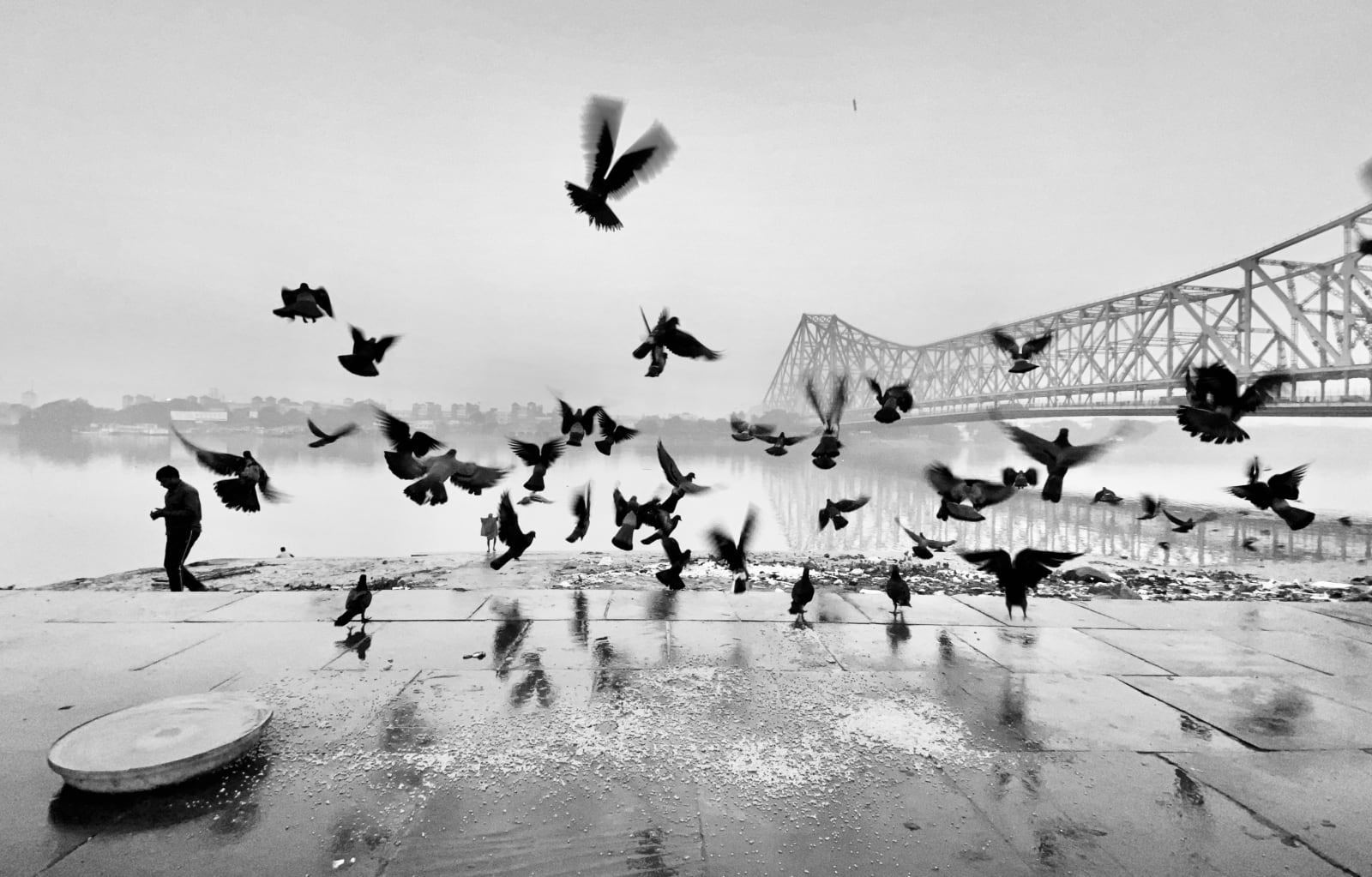 The Birds of the Sky