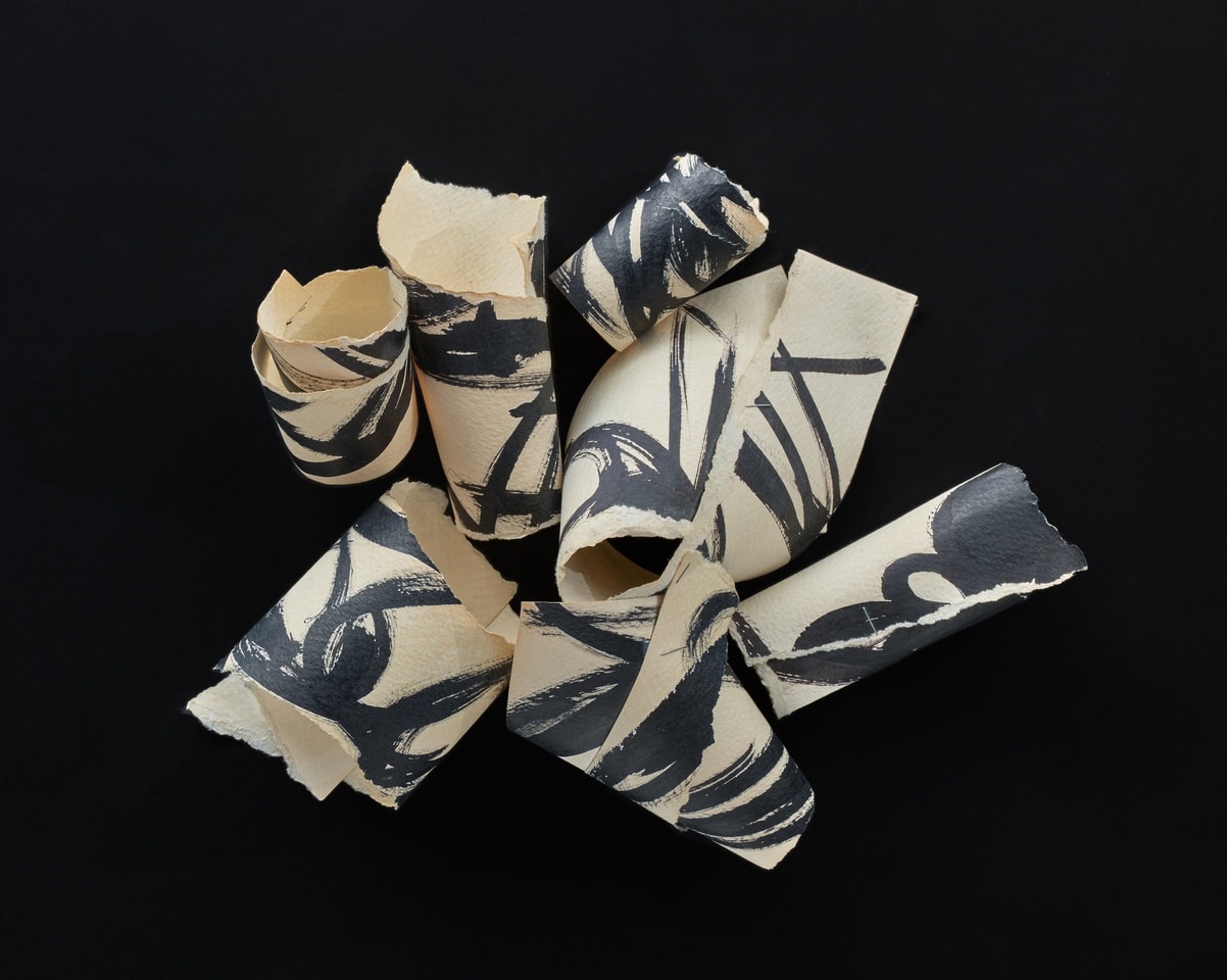 Ink over White over Black (I-II), 2006