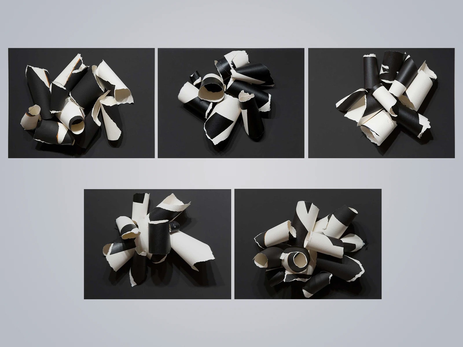 Inlets of Light I-V, 2006