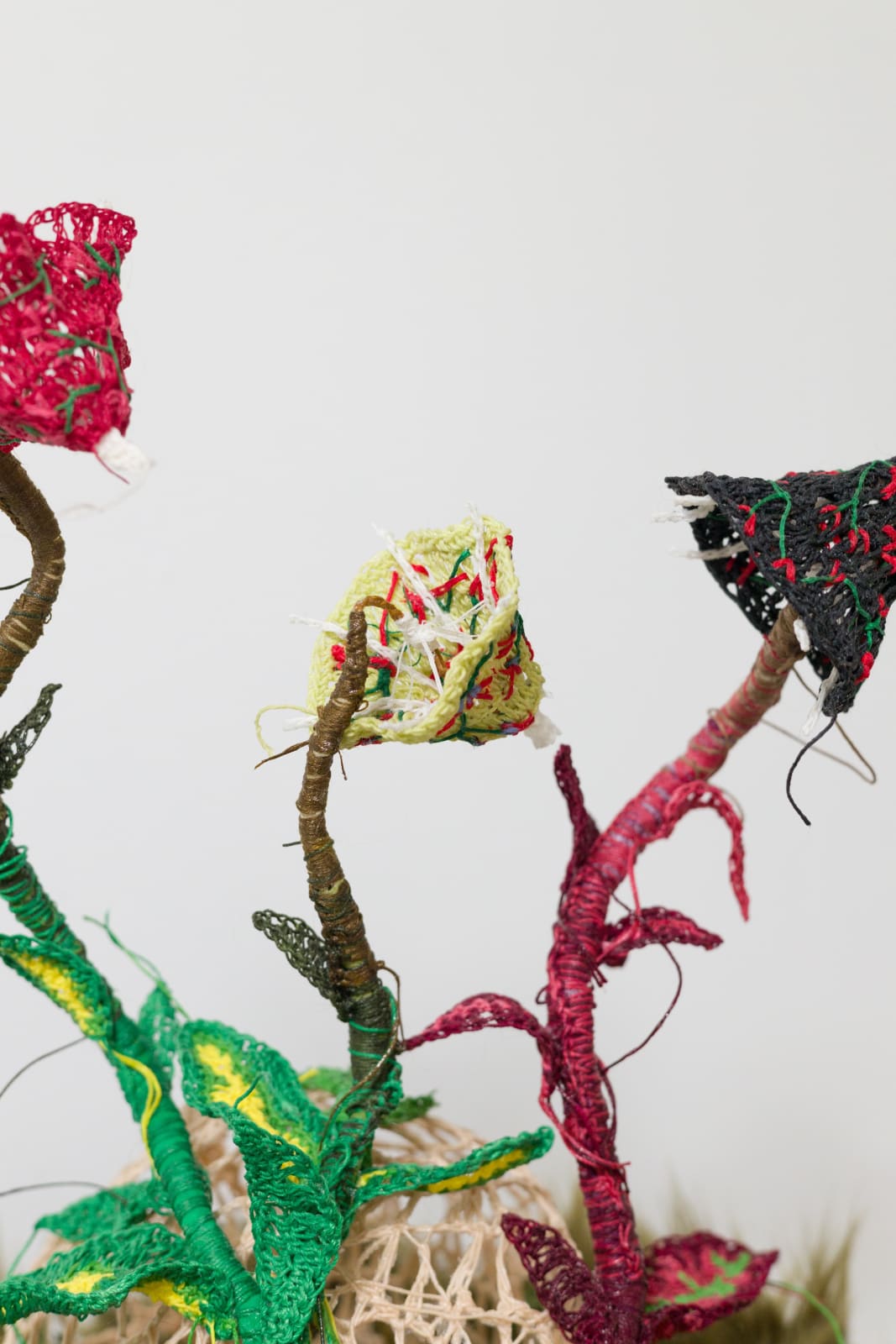 Caitlin McCormack, Never Let The Party Die, 2023