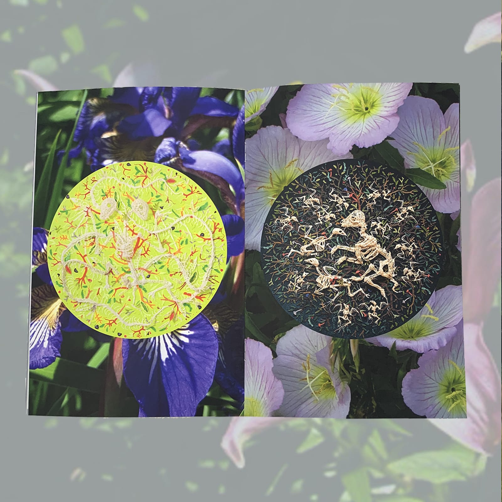 Caitlin McCormack, Petrichor Zine, 2025