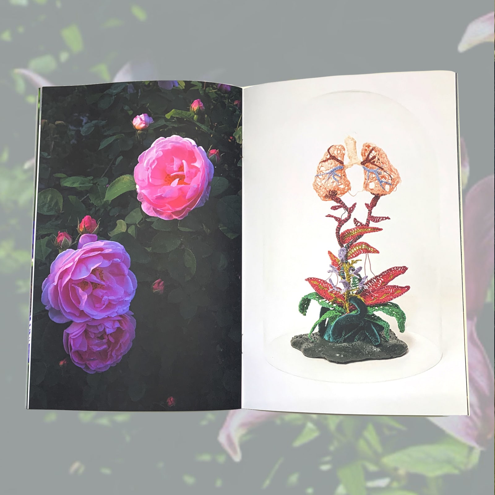 Caitlin McCormack, Petrichor Zine, 2025