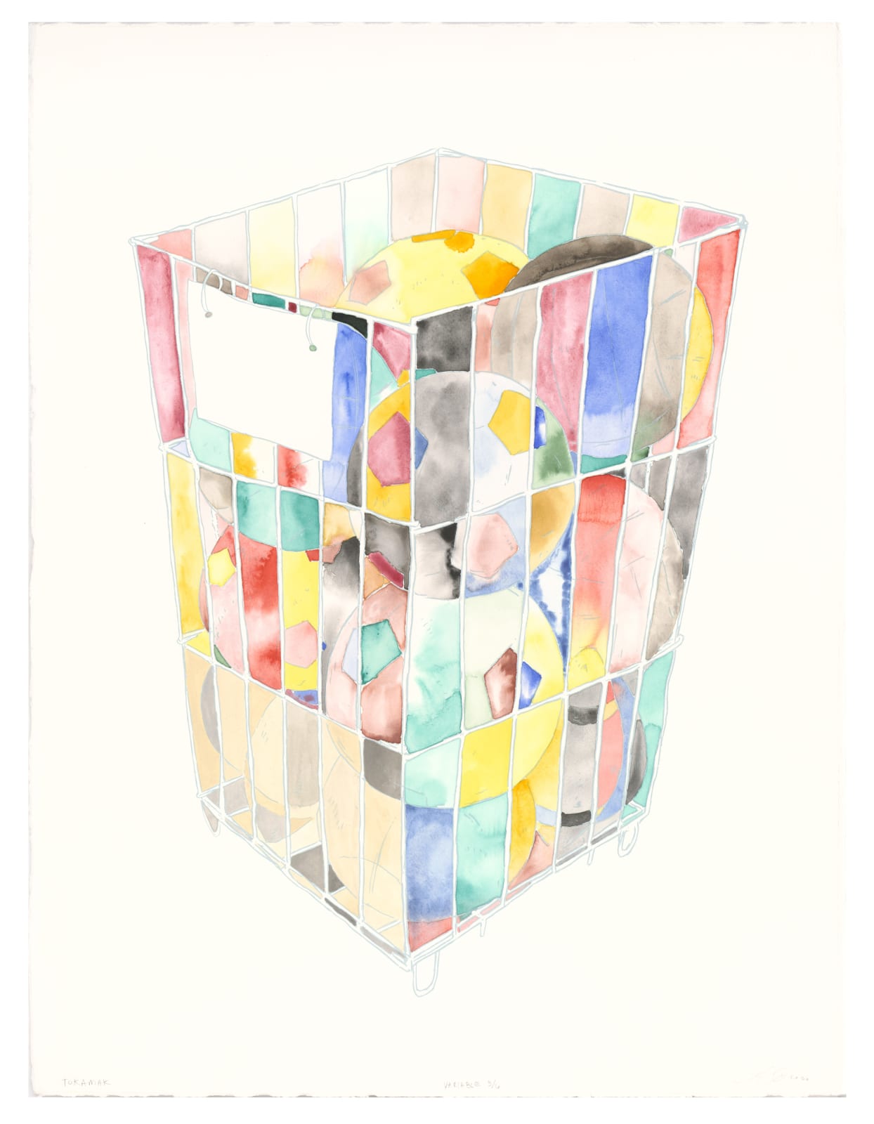 Amze Emmons, Tokomak, 2020