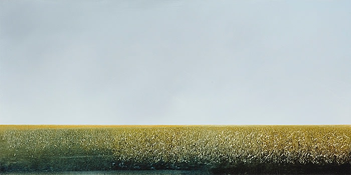 Peter Brooke, Hazefire # 1, 2017