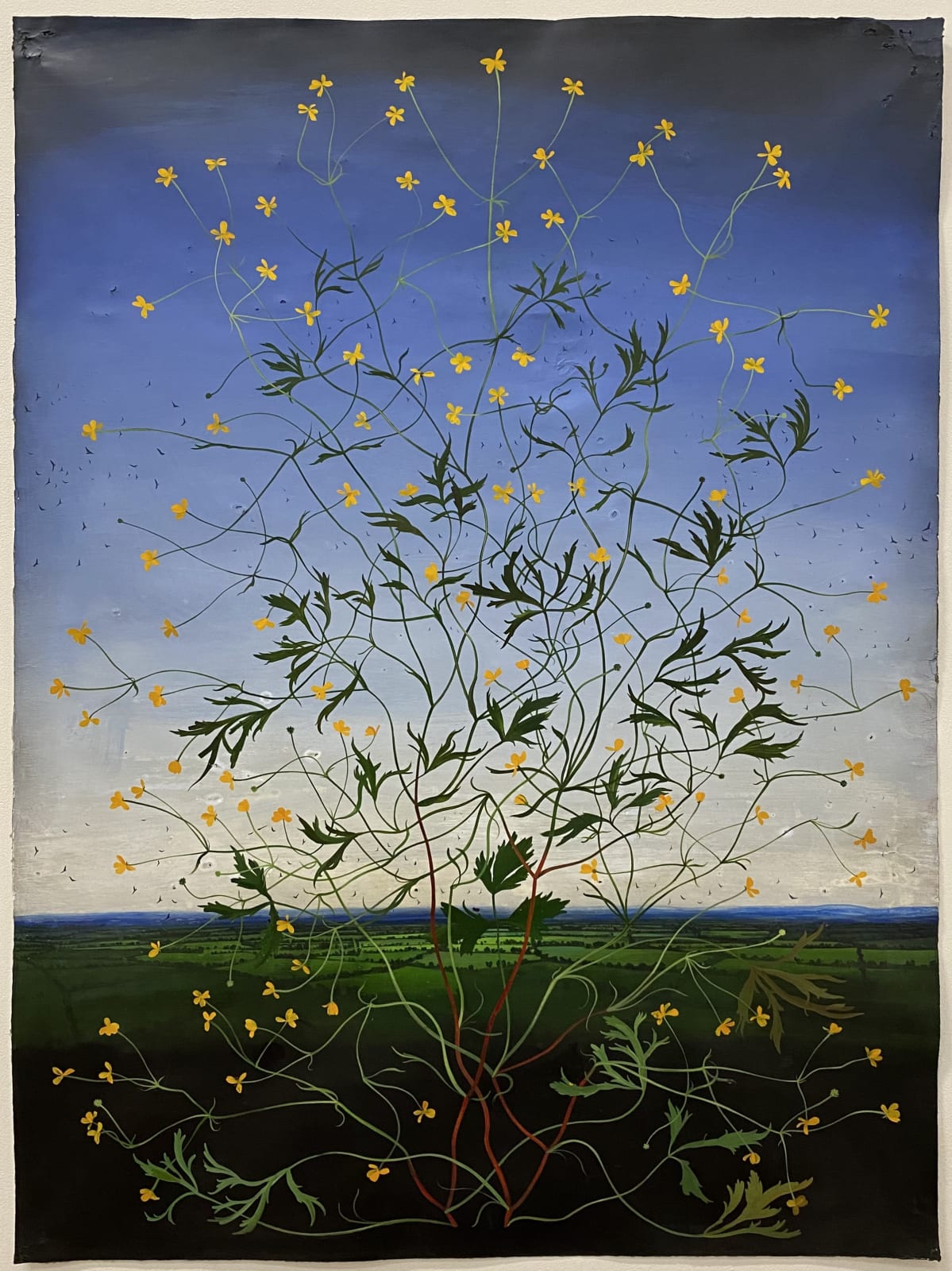 Michael Canning, Scriptorium, 2019-2024