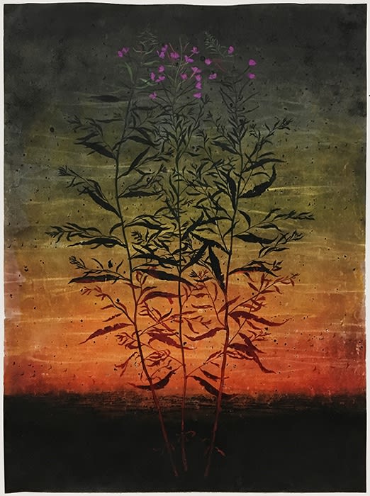 Michael Canning, Western Minutes, 2014-2018