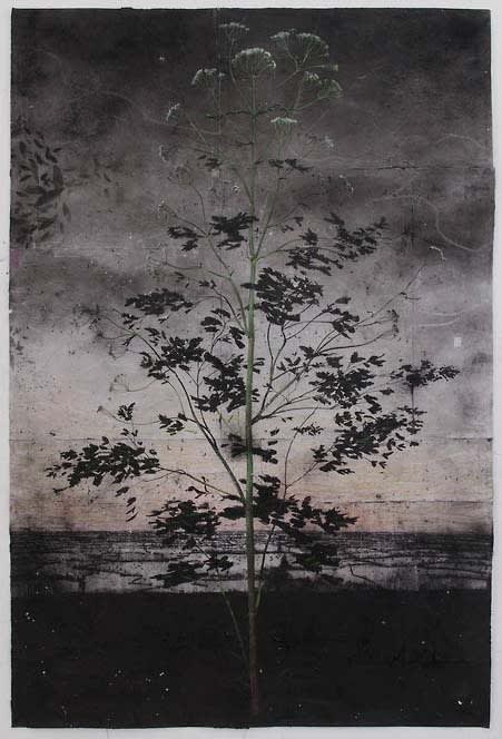 Michael Canning, Drawing I, 2012