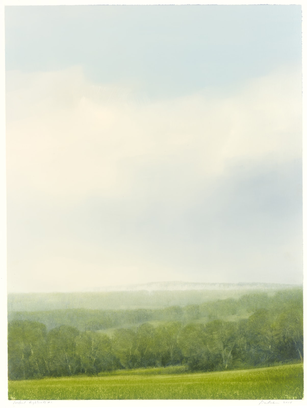 Peter Brooke, Pomfret Highlands #1, 2019