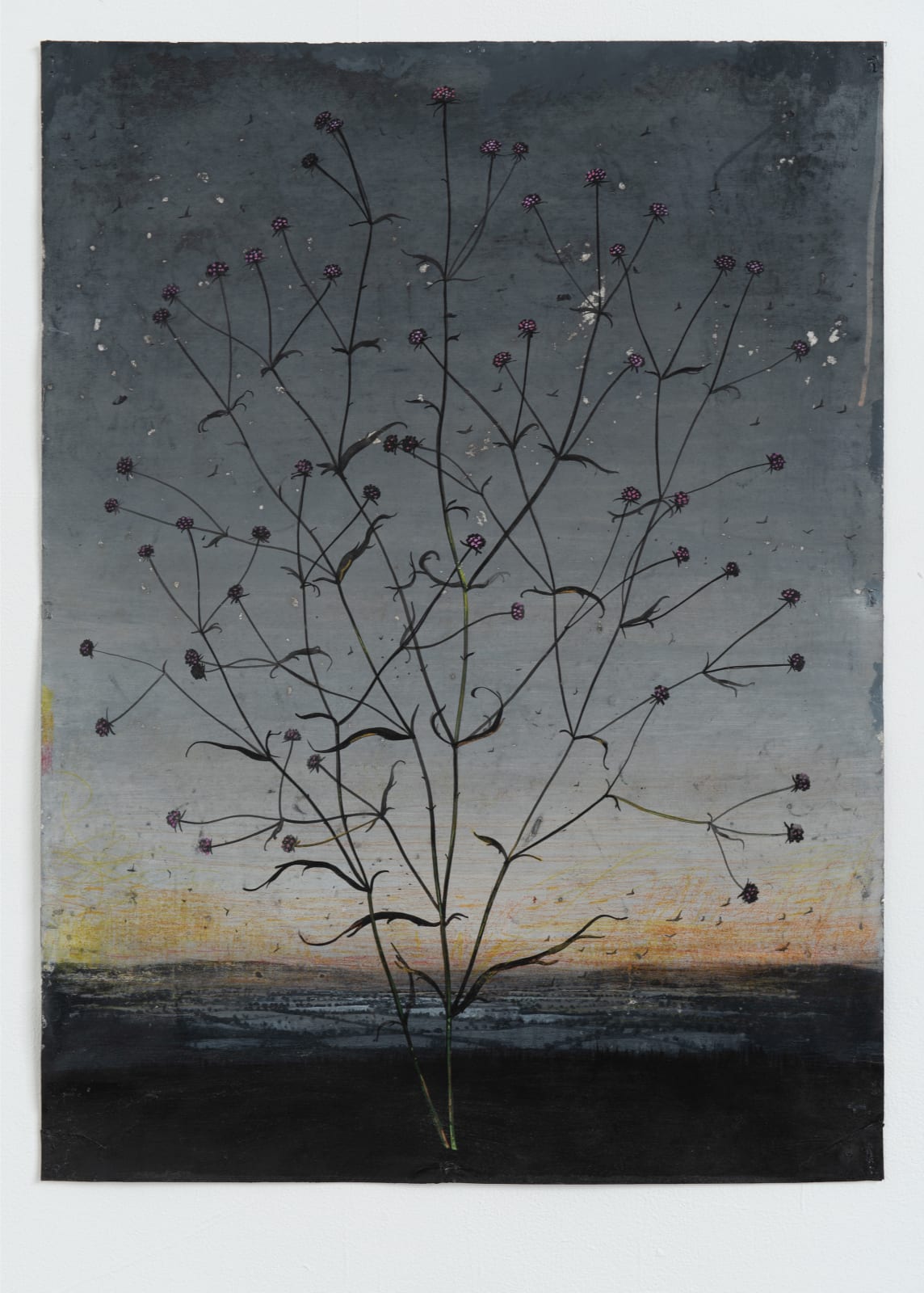 Michael Canning , Now Gravity VI, 2018