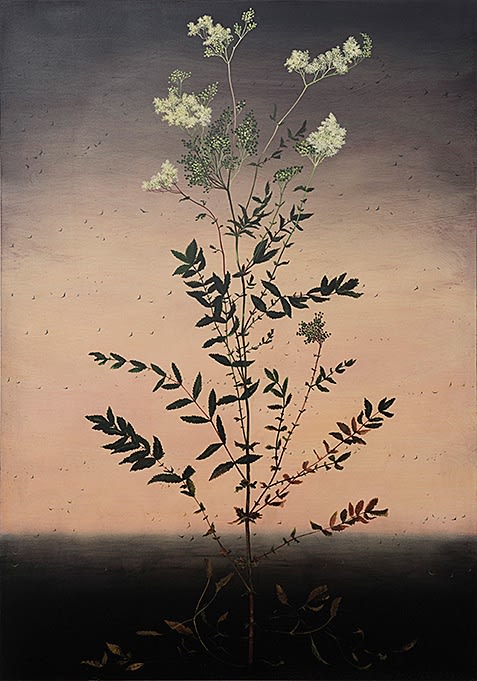 Michael Canning, Modern Behaviors, 2016