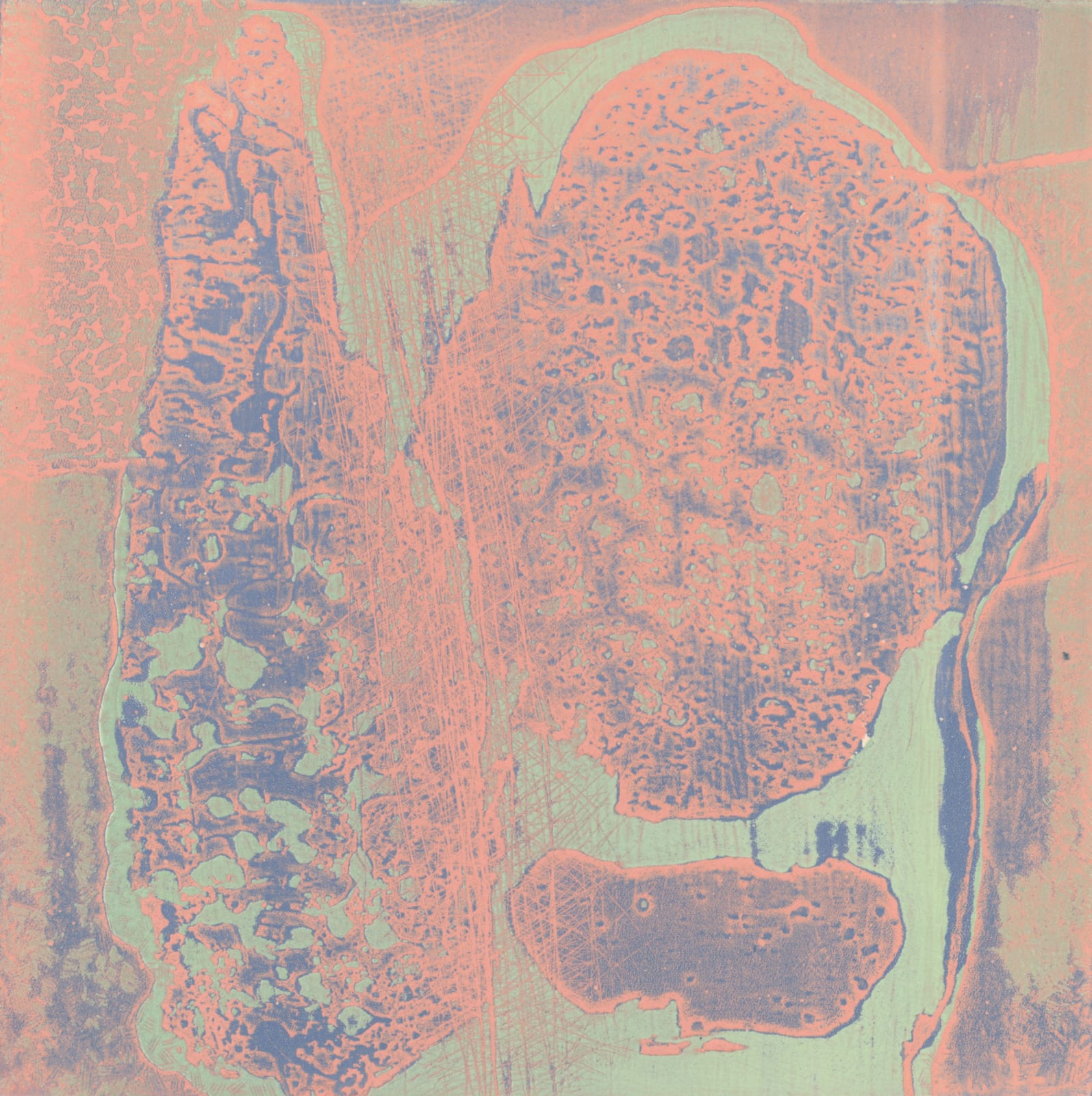 Robert Blackburn, Organic Thing XXII, 2002-03