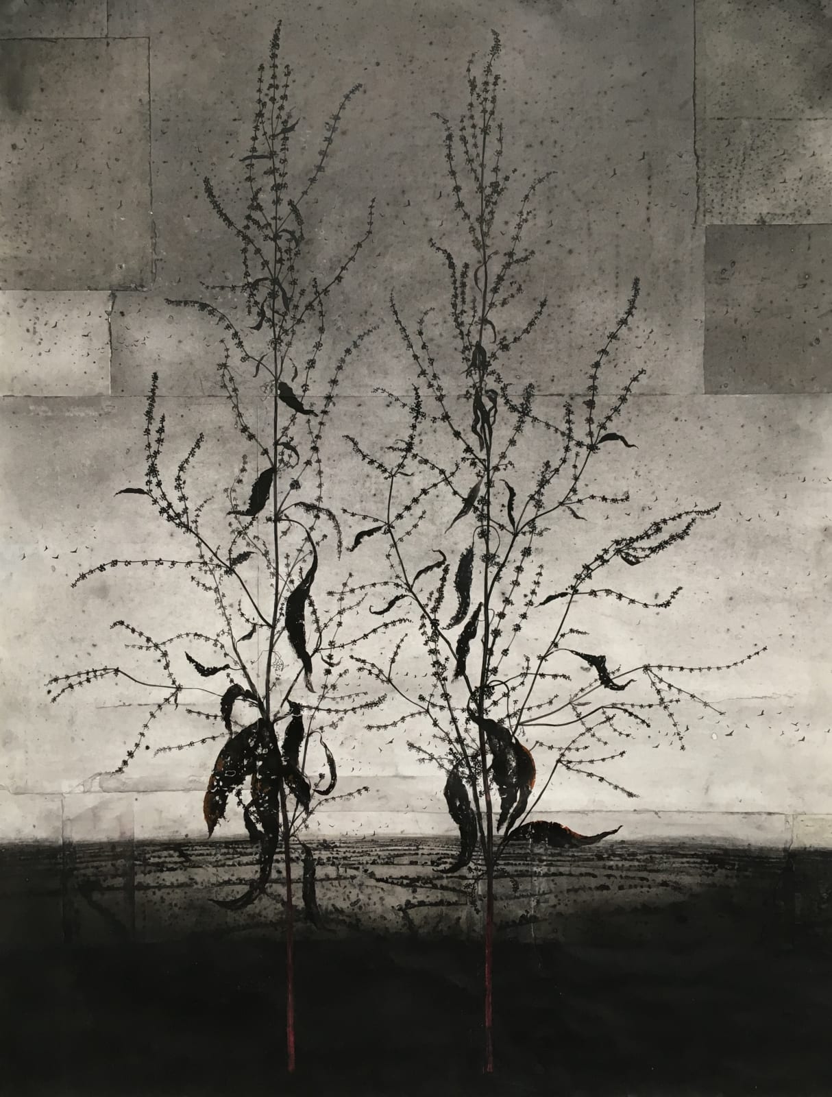Michael Canning, Invisibles, 2007-2019