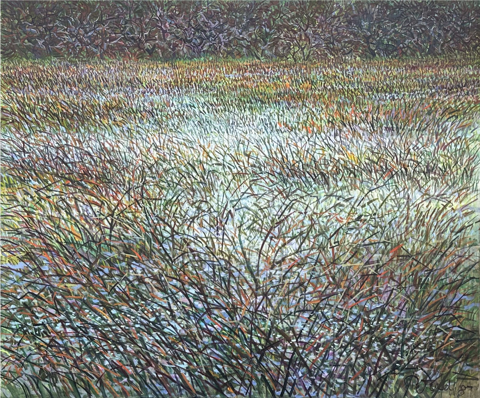 Gabor Peterdi, Wetland, 1982-85