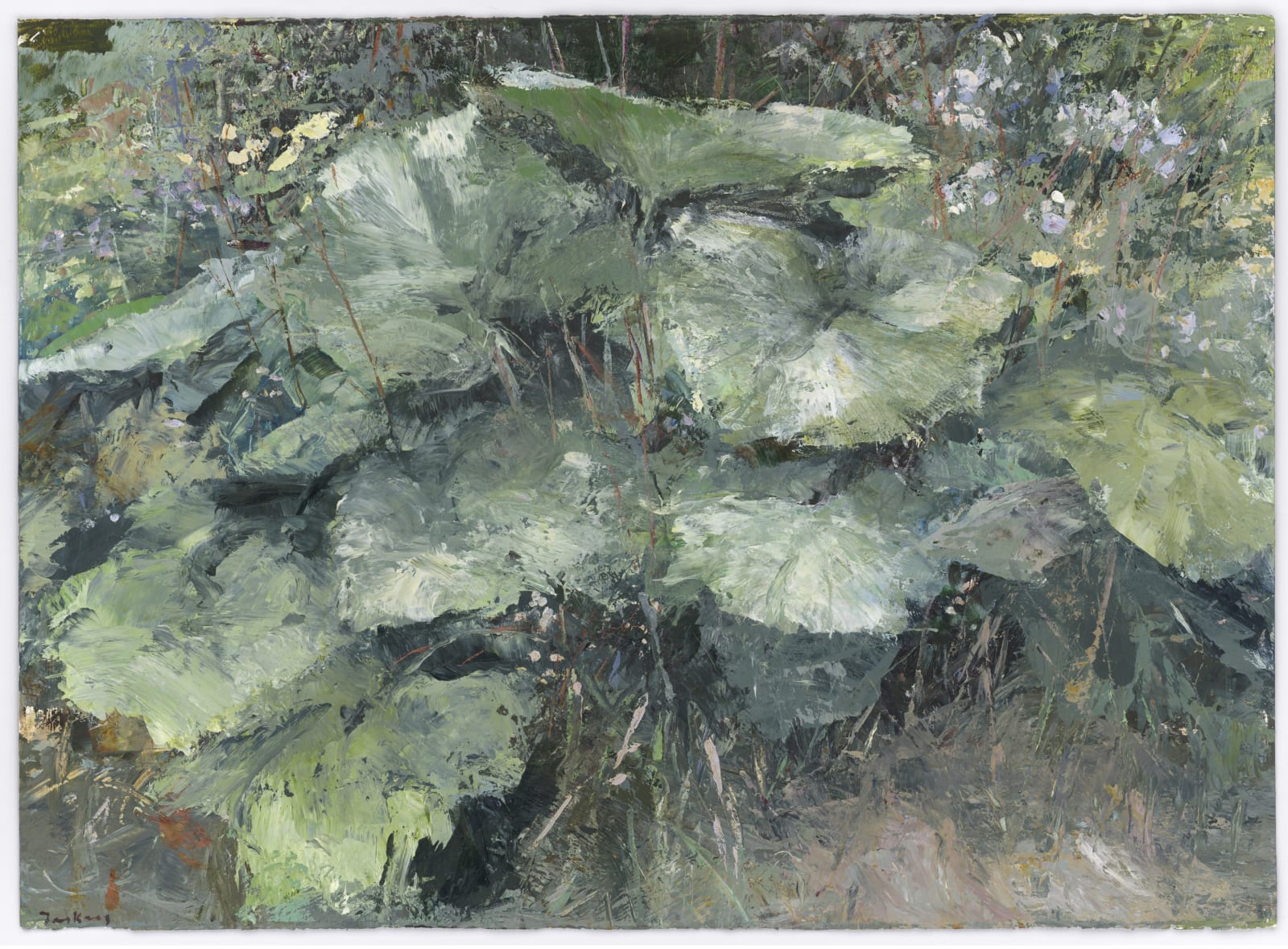 Donald Teskey, Undergrowth, 2019