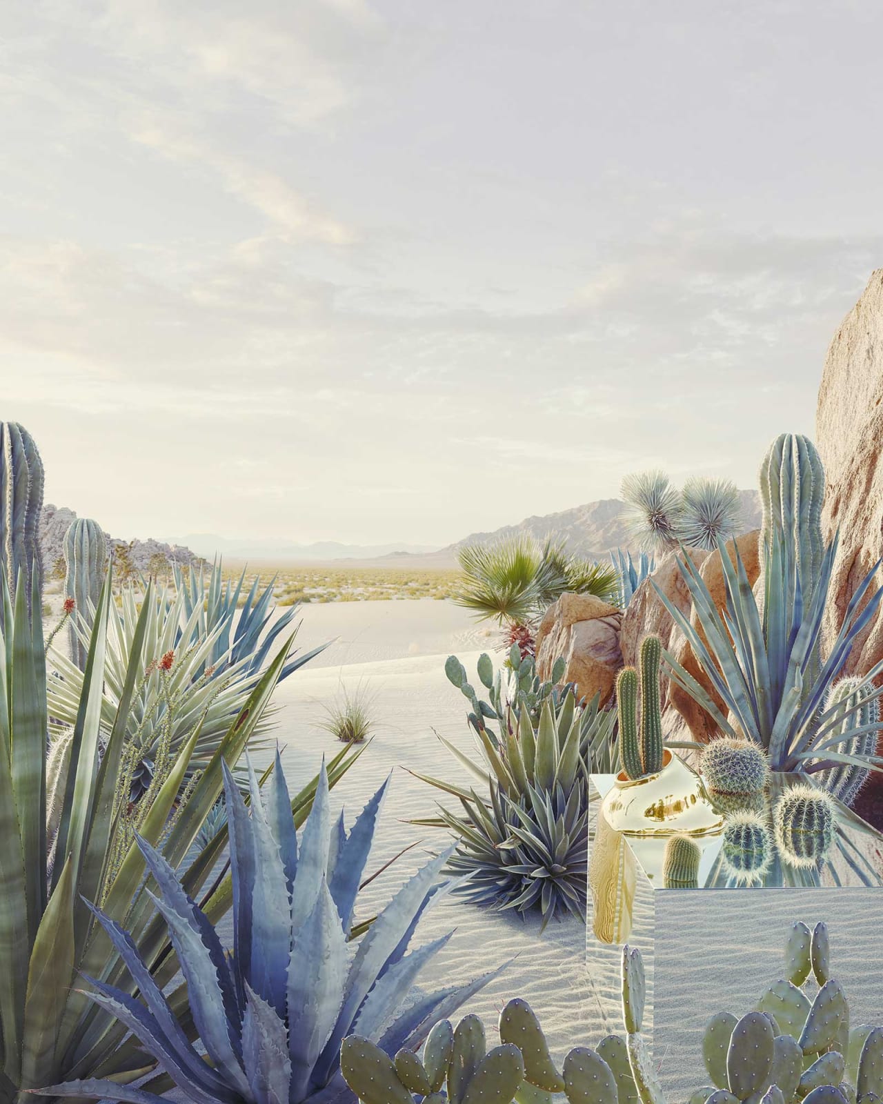 Dean West, Still Life #1, Desert Oasis, 2018