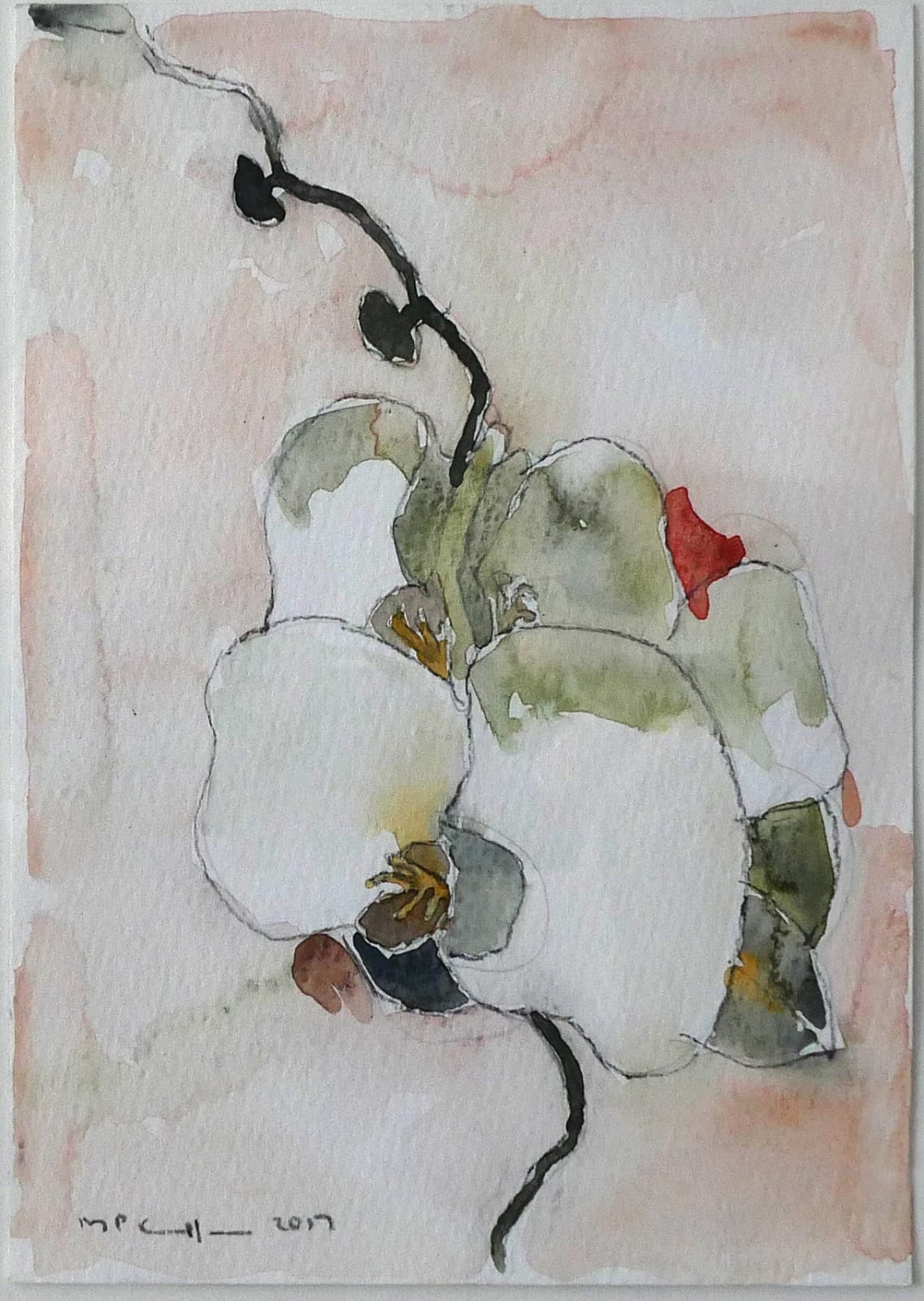 Mark P. Cullen , Orchid 2