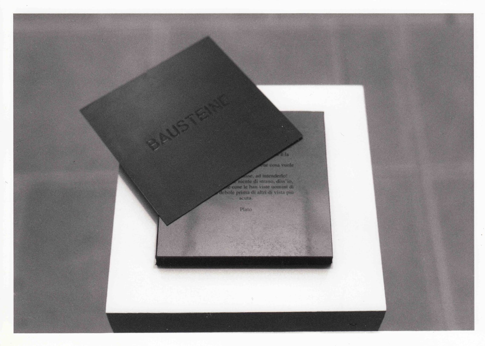 Bert Theis, Vivisezione, 1993