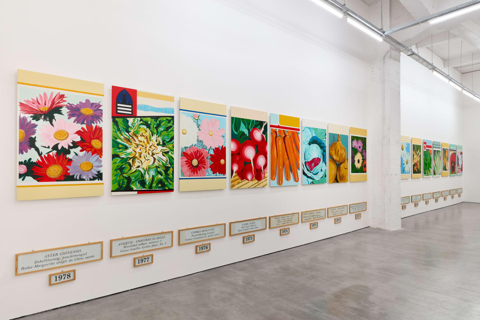 Installation view, Jef Geys, You don't see what you think you see, WIELS, Brussels, 2024 Courtesy to WIELS, photo: We Document Art