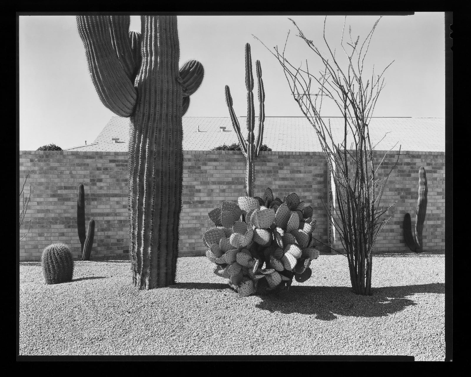 Allen Dutton - Sun City, Feb, 1985