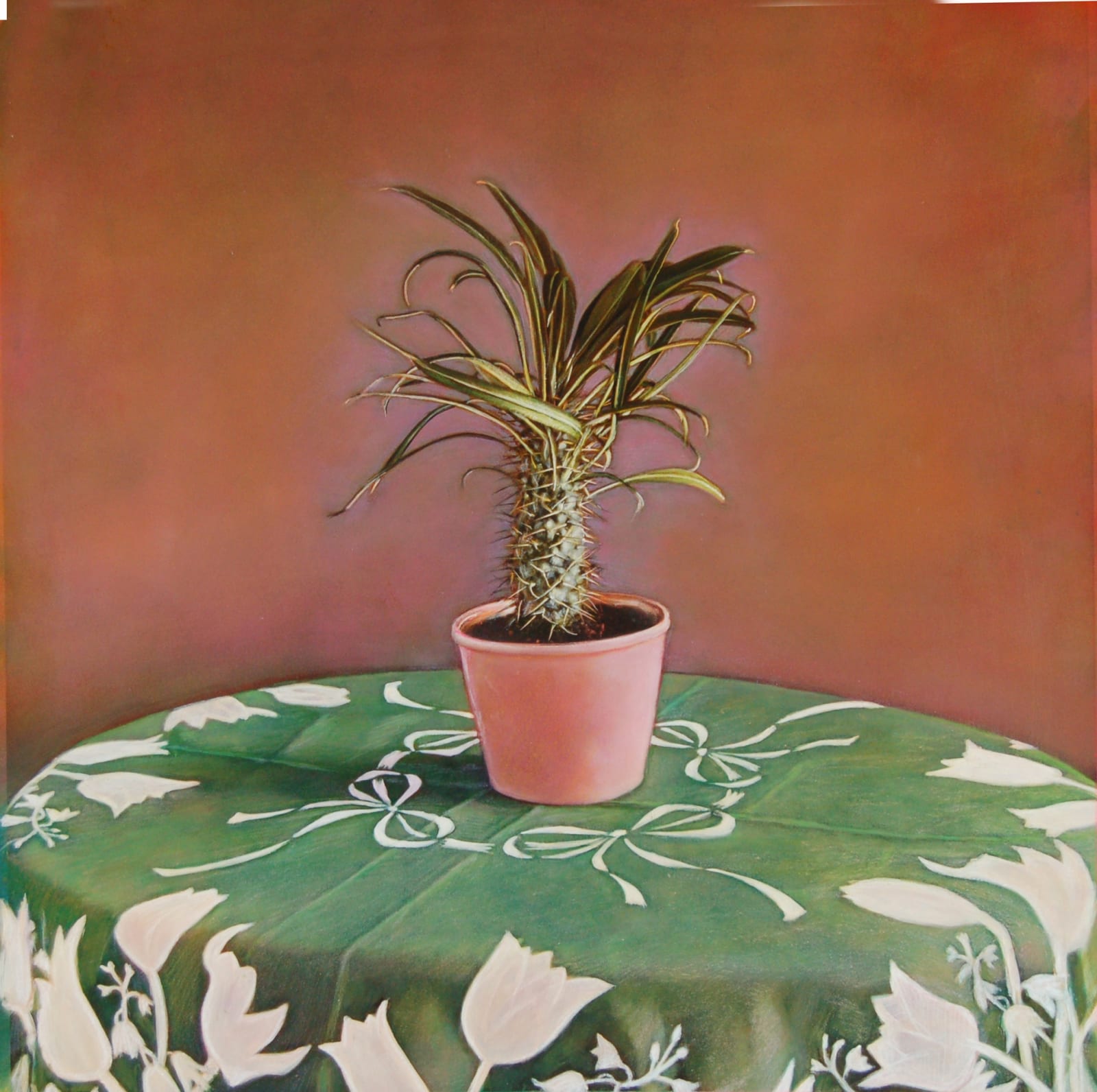Kate Breakey, Cactus XIX, n.d.