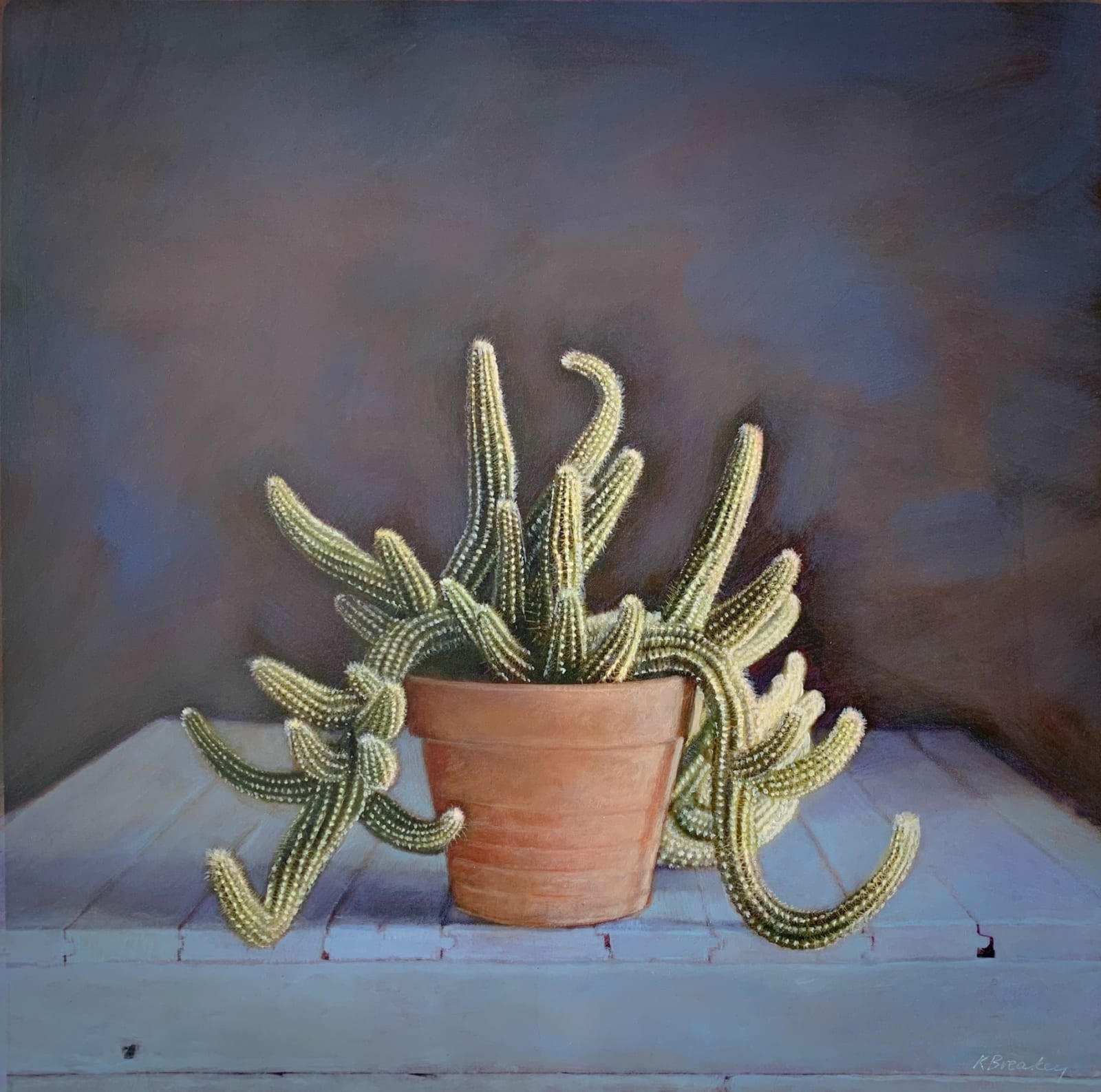 Kate Breakey, Cactus XXIII, n.d.
