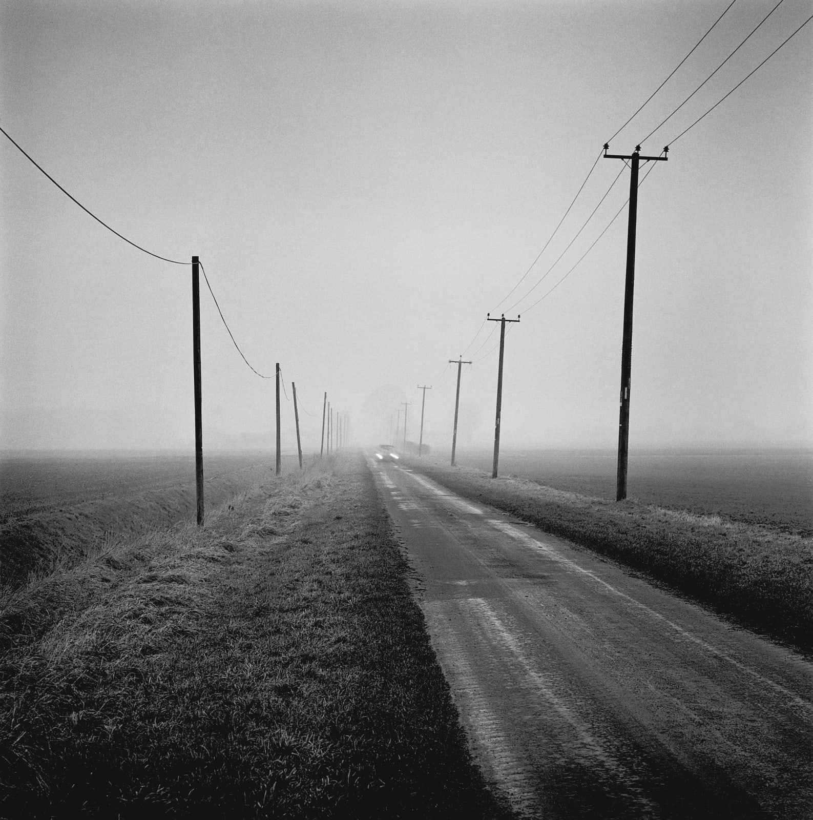 Paul Hart, Staunt Road, 2017