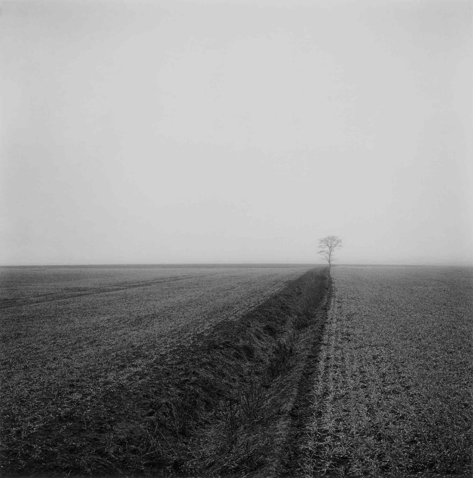 Paul Hart, December XIV, 2020-2024