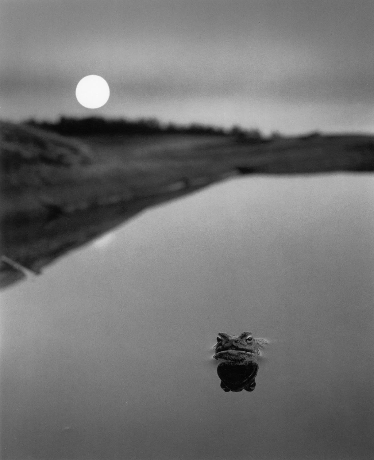 Pentti Sammallahti, Ristisaari, Finland, 1974