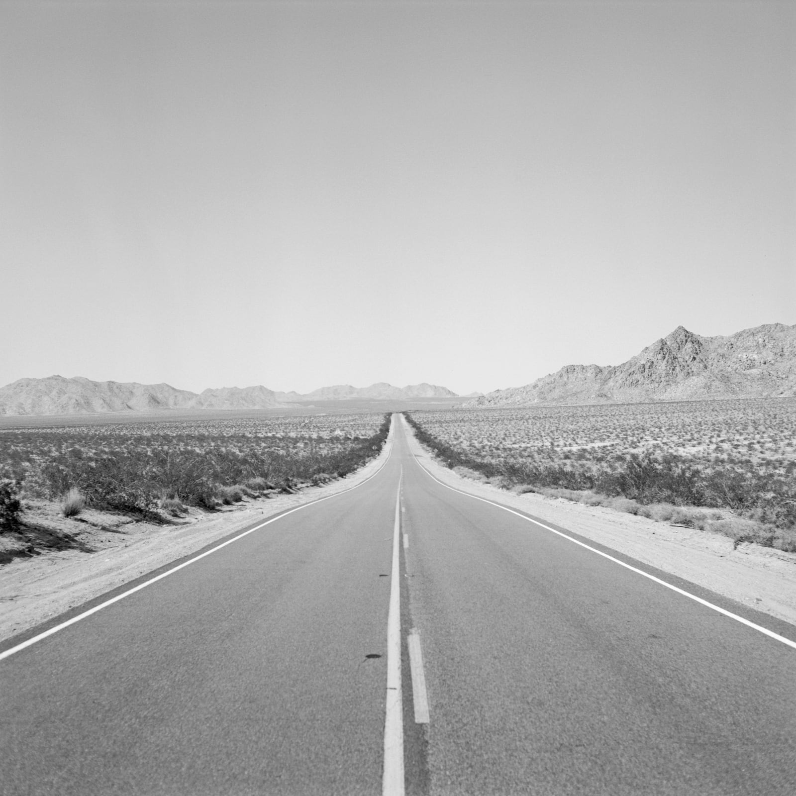 Jason Lee, California, No. 1, 2017