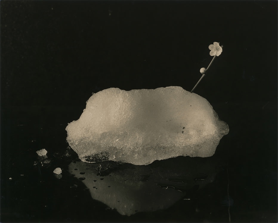 Yamamoto Masao, Tomosu #6001