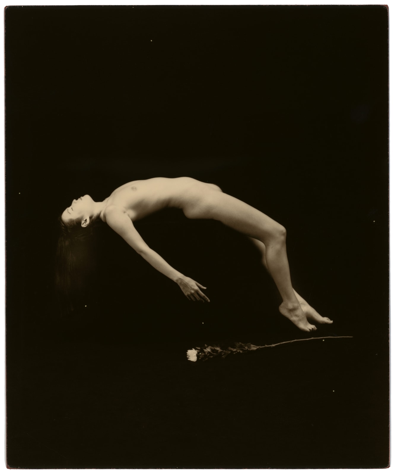 Yamamoto Masao, #814, from Nakazora, 1997