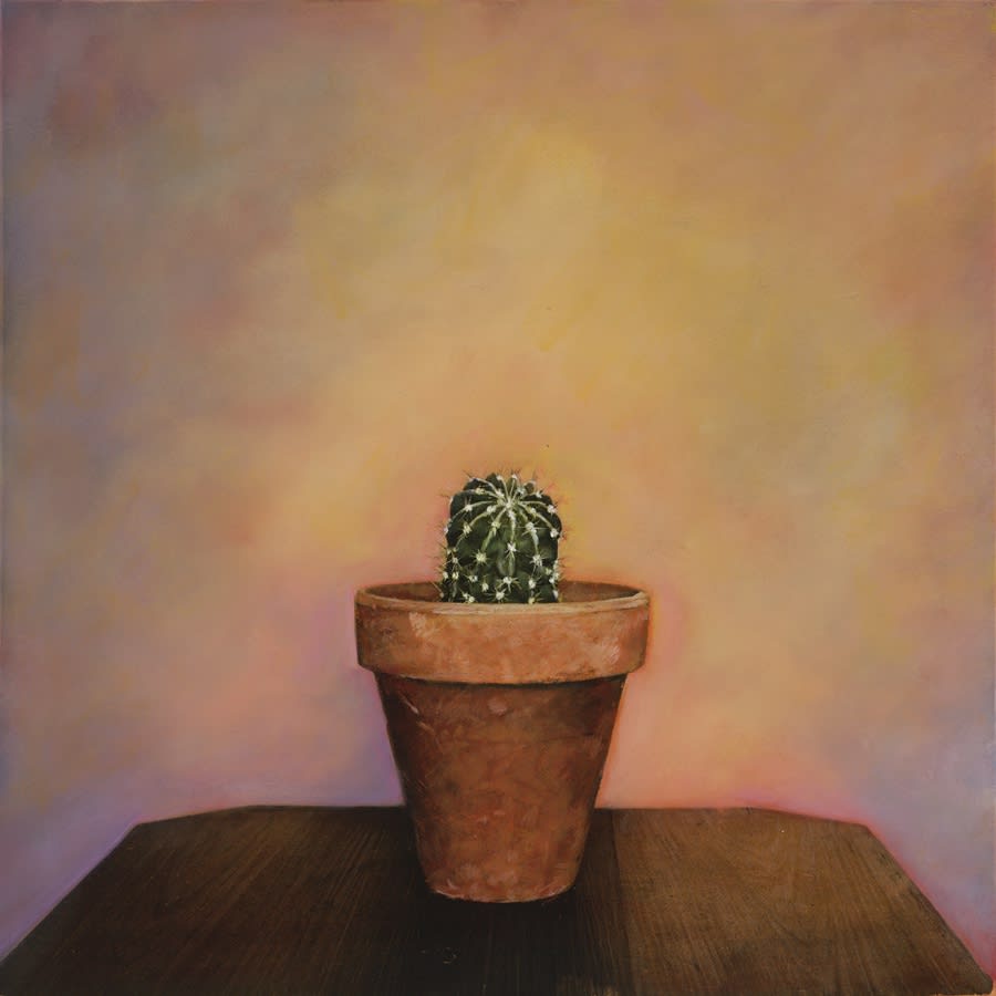 Kate Breakey, Cactus IX, n.d.