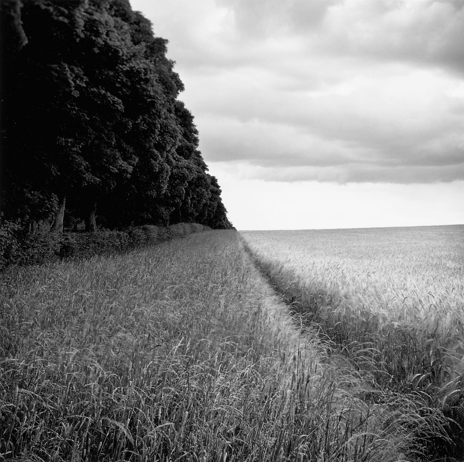 Paul Hart, Anmer, 2009