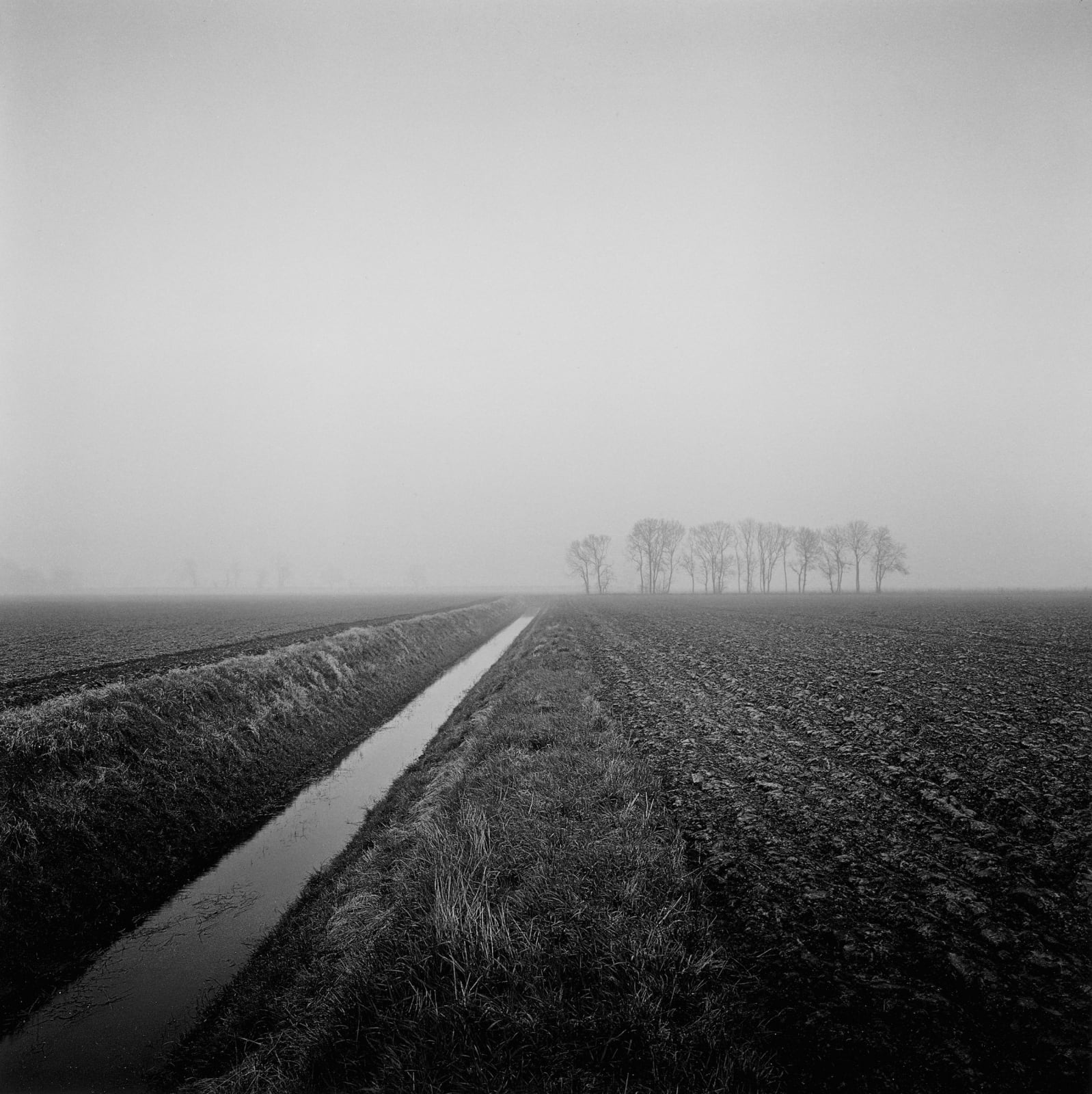 Paul Hart, Windy Corner, 2013