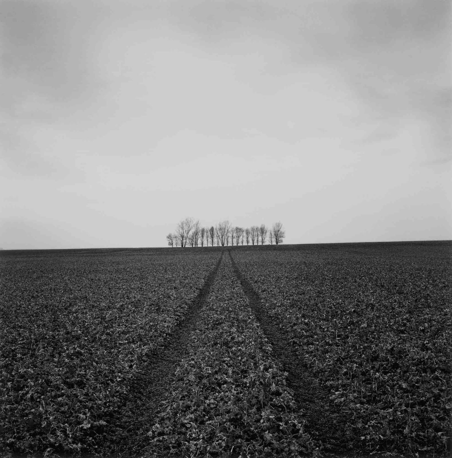 Paul Hart, March II, 2020-2024