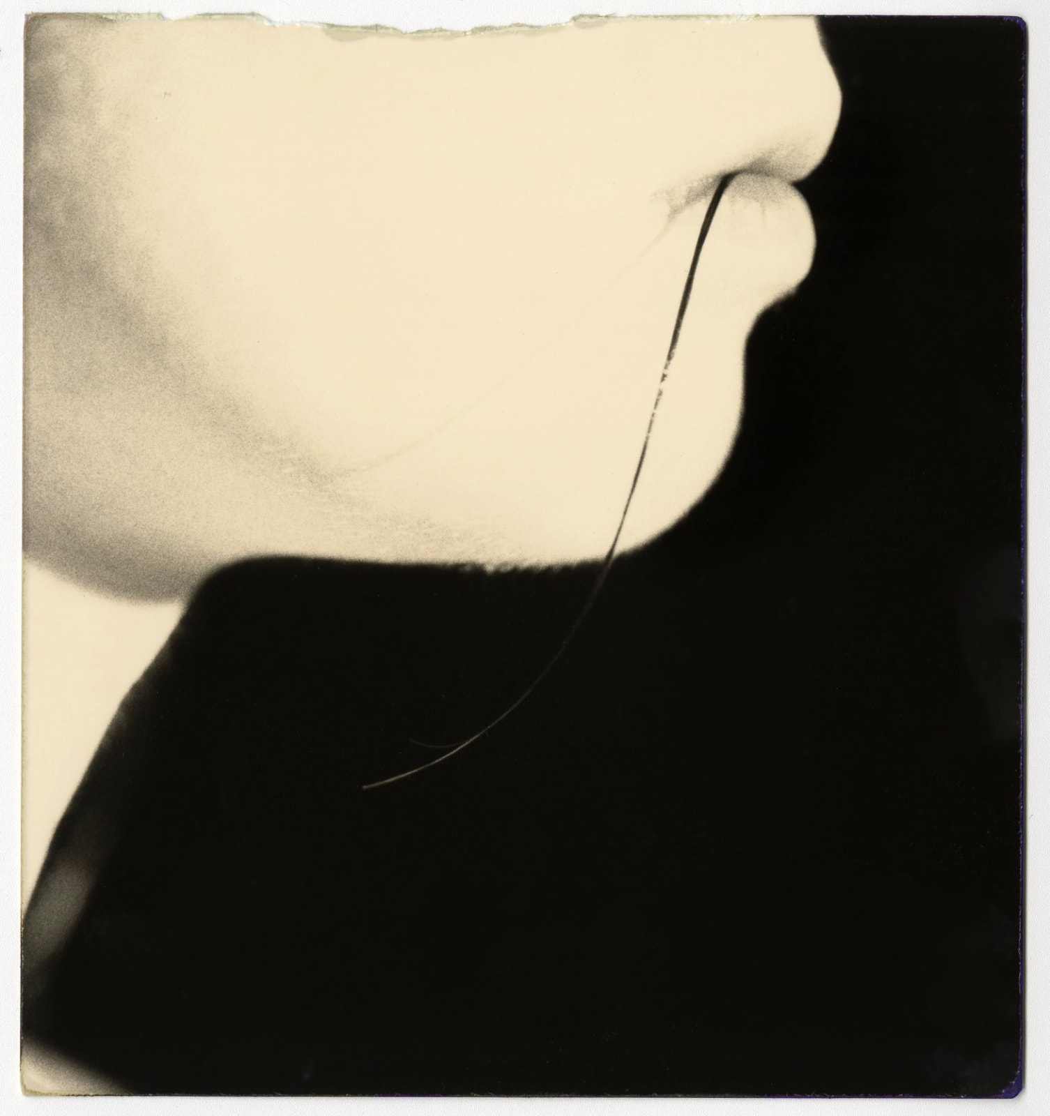 Yamamoto Masao, #963 from Nakazora, 2002