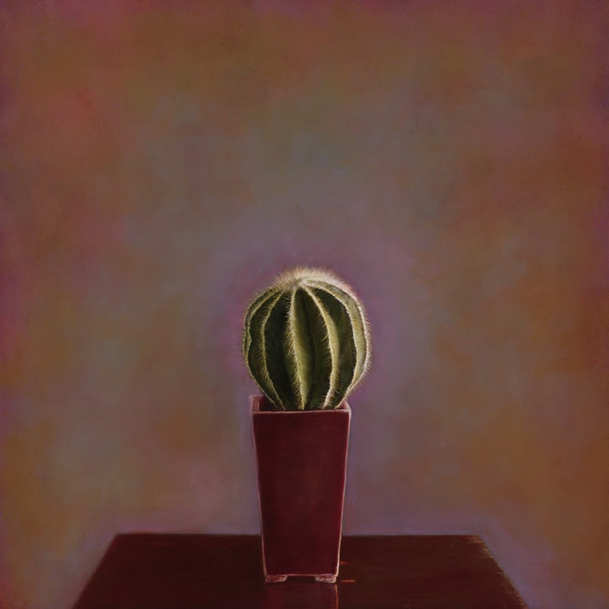 Kate Breakey, Cactus I, n.d.